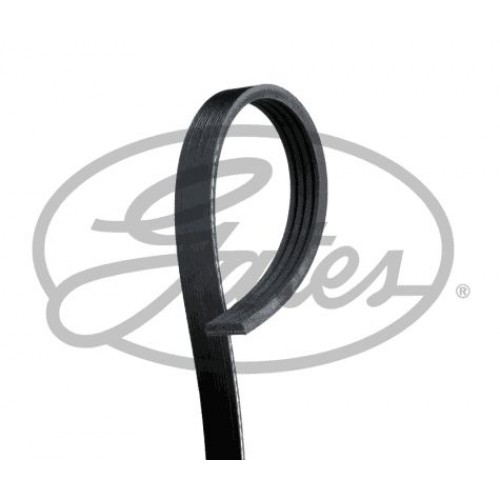 Ιμάντας poly-V DAIHATSU SIRION 2006 - ( M300 ) ( M301 ) GATES 4PK1590 Ιμάντας poly-V DAIHATSU SIRION 2006 - ( M300 ) ( M301 ) GATES 4PK1590