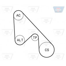 Σετ ιμάντων poly-V FORD KA 2008 - 2016 ( RU8 ) OPTIBELT 5 PK 1145KT1