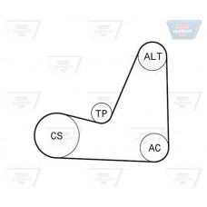 Σετ ιμάντων poly-V NISSAN MICRA 2003 - 2005 ( K12 ) OPTIBELT 5 PK 1200KT1