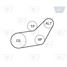 Σετ ιμάντων poly-V VW GOLF 1992 - 1998 ( Mk3 ) OPTIBELT 6