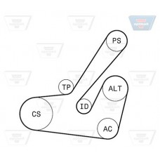 Σετ ιμάντων poly-V PEUGEOT 306 1993 - 1996 ( N3 ) OPTIBELT 6 PK 1145KT1