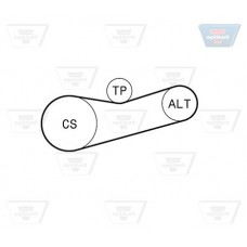 Σετ ιμάντων poly-V VW POLO 2002 - 2005 ( 9N ) OPTIBELT 6