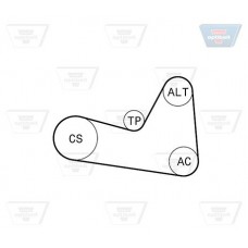 Σετ ιμάντων poly-V NISSAN MICRA 2003 - 2005 ( K12 ) OPTIBELT 6 PK 1200KT1