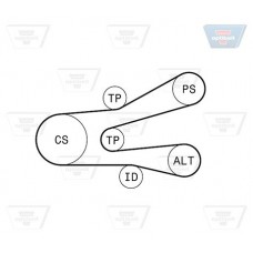 Σετ ιμάντων poly-V PEUGEOT 306 1993 - 1996 ( N3 ) OPTIBELT 6 PK 1440KT1