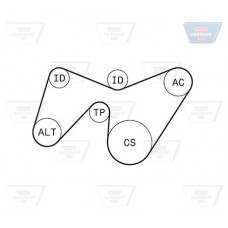 Σετ ιμάντων poly-V FORD MONDEO 2000 - 2003 ( Mk3a ) OPTIBELT 6 PK 1642KT1