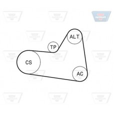 Σετ ιμάντων poly-V PEUGEOT 206 2009 - ( PLUS ) OPTIBELT 6 PK 1710KT1