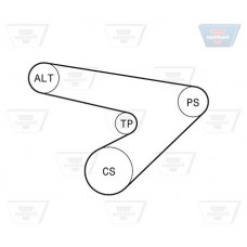Σετ ιμάντων poly-V OPEL ASTRA 1991 - 1994 ( F ) OPTIBELT 6 PK 1725KT2