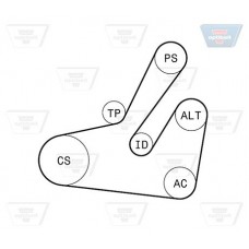 Σετ ιμάντων poly-V MITSUBISHI CARISMA 1996 - 1999 ( DA ) OPTIBELT 6