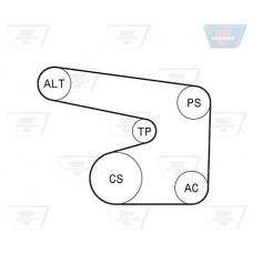 Σετ ιμάντων poly-V OPEL ASTRA 1991 - 1994 ( F ) OPTIBELT 6 PK 1900KT1