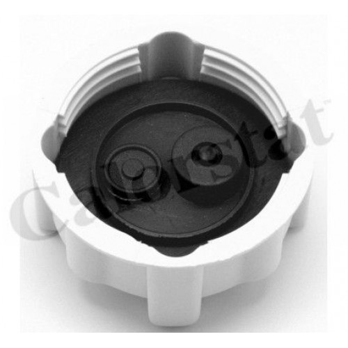 Δοχείο Διαστολής Νερού RENAULT CLIO 2001 - 2005 CALORSTAT by Vernet RC0031