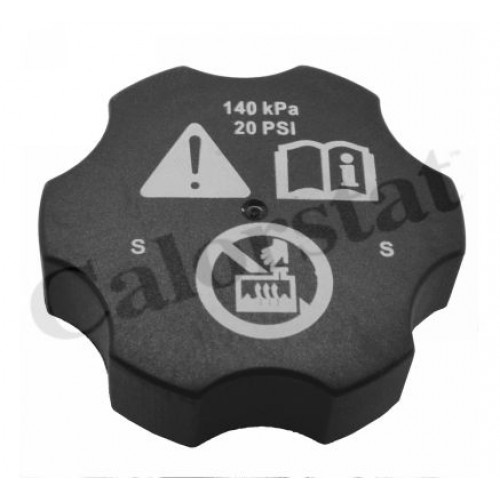 Δοχείο Διαστολής Νερού OPEL ASTRA 2010 - 2013 ( J ) CALORSTAT by Vernet RC0144