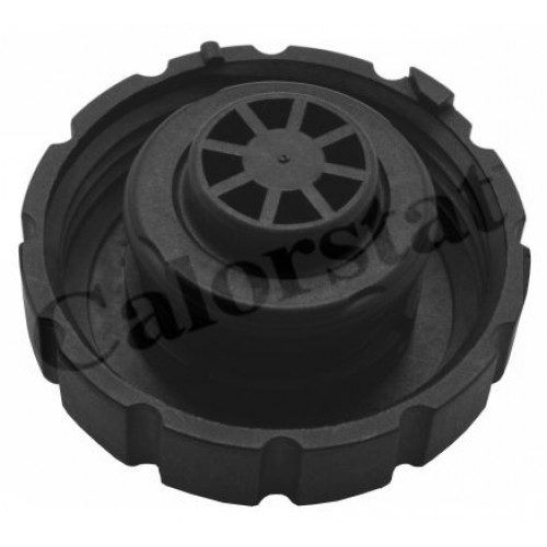 Δοχείο Διαστολής Νερού MERCEDES C CLASS 2007 - 2011 ( W204 ) CALORSTAT by Vernet RC0160