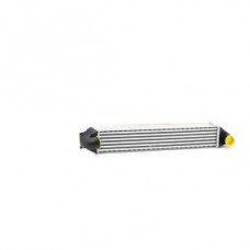 Ψυγείο Intercooler VW SHARAN 2000 - 2010 ( 7M ) 042206200