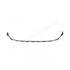 Χρώμιο Προφυλακτήρα PEUGEOT 407 2004 - 2008 ( 6D_ ) Εμπρός 021204805