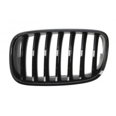 Καρδιά Μάσκας BMW X6 2008 - 2012 ( Ε71 ) 162004662