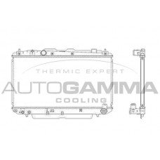 Ψυγείο Νερού TOYOTA RAV-4 2000 - 2003 ( XA20 ) 014806320