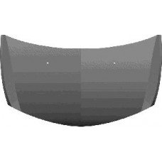 Καπό RENAULT CLIO 2006 - 2009 026800070