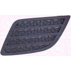 Δίχτυ Προφυλακτήρα FORD FIESTA 2006 - 2008 ( Mk5b ) Εμπρός Αριστερά 036204822