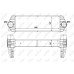 Ψυγείο Intercooler FORD TRANSIT CONNECT TOURNEO 2009 - 2013 317006200