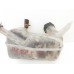 Δοχείο Διαστολής Νερού RENAULT MEGANE 2002 - 2005 8200273157