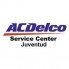 ACDELCO (1)
