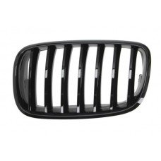 Καρδιά Μάσκας BMW X6 2008 - 2012 ( Ε71 ) 162004662