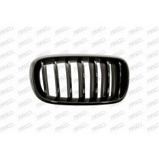 Καρδιά Μάσκας BMW X6 2014 - 162104634