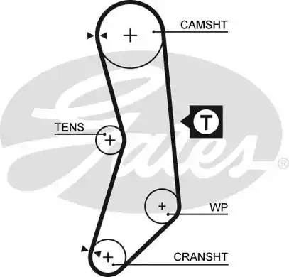 Οδοντωτός ιμάντας FIAT CINQUECENTO 1992 - 1998 ( 170 ) GATES 5030XS