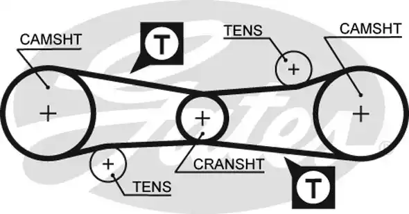 Οδοντωτός ιμάντας ALFA ROMEO 145 1994 - 1999 ( 930 ) GATES 5186
