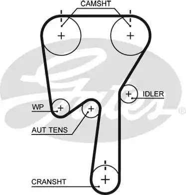 Οδοντωτός ιμάντας FORD FOCUS 2004 - 2008 (MK2A) GATES 5509XS