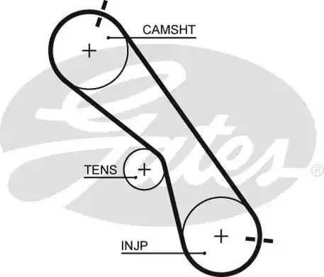 Οδοντωτός ιμάντας TOYOTA LAND CRUISER 2003 - 2009 ( J120 ) GATES 5560XS