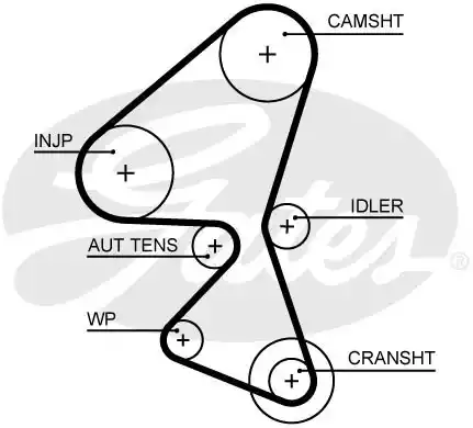 Οδοντωτός ιμάντας FORD FIESTA 2008 - 2013 ( Mk6 )( JA8 ) GATES 5657XS