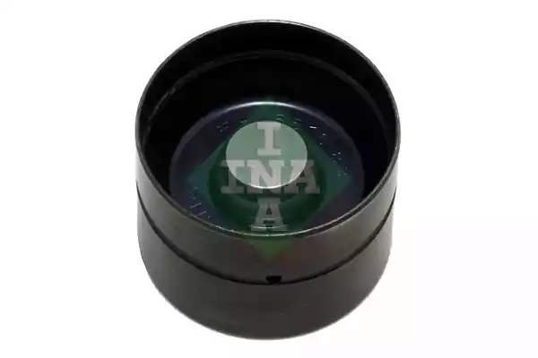 Ωστήριο/ωστική ράβδος/προστατευτικός σωλήνας VW NEW BETTLE 2005 - 2011 ( 9C1 ) INA 420 0209 10