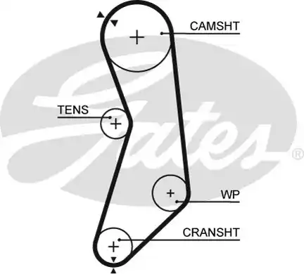 Οδοντωτός ιμάντας NISSAN MICRA 1986 - 1992 ( K10 ) GATES 5319