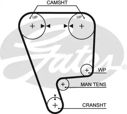 Οδοντωτός ιμάντας HONDA CIVIC 1990 -1992 ( EC / D / E / F ) GATES 5348XS