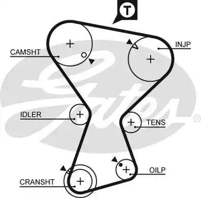 Οδοντωτός ιμάντας MITSUBISHI LANCER 1992 - 1995 ( CB ) GATES 5375XS
