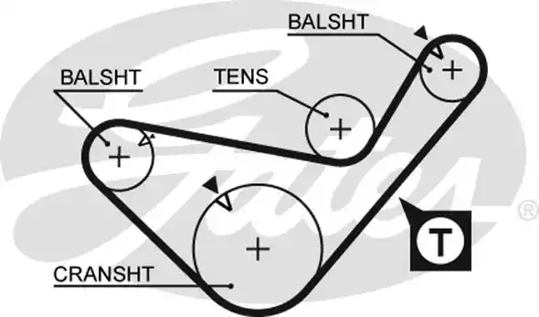 Οδοντωτός ιμάντας MITSUBISHI PAJERO 2000 - 2002 GATES 5436XS