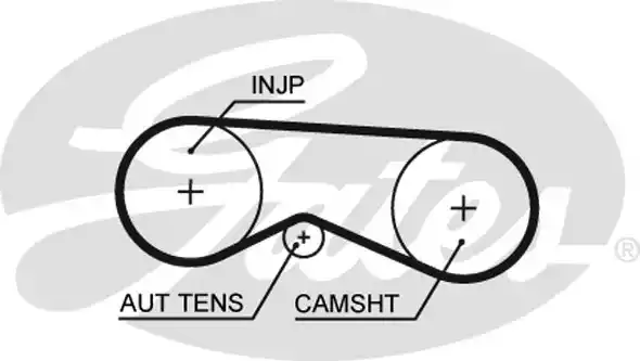 Οδοντωτός ιμάντας VW PASSAT 2000 - 2005 ( 3B3 ) GATES 5531XS