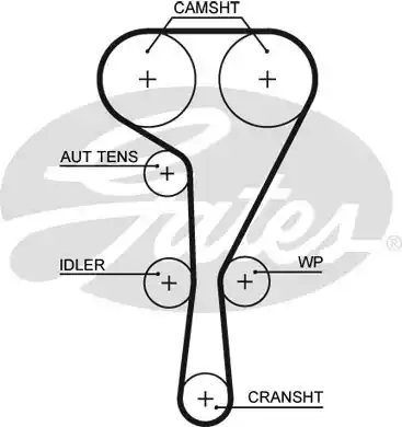 Οδοντωτός ιμάντας RENAULT CLIO 2006 - 2009 GATES 5550XS