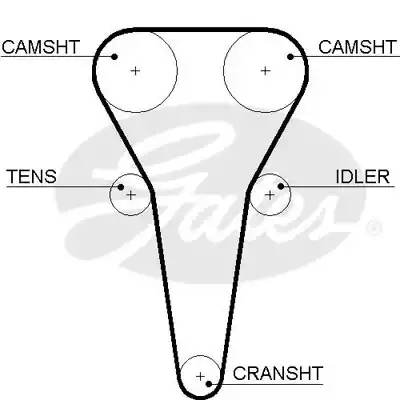 Οδοντωτός ιμάντας KIA SHUMA 2001 - 2004 ( FB ) GATES 5567XS