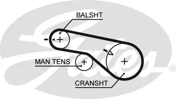 Οδοντωτός ιμάντας HYUNDAI SONATA 2001 - 2005 ( EU4 ) GATES 5570XS