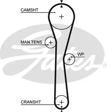 Οδοντωτός ιμάντας RENAULT CLIO 2001 - 2005 GATES 5577XS