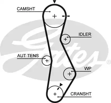 Οδοντωτός ιμάντας HYUNDAI ACCENT 2003 - 2005 ( CG ) ( LC2 ) GATES 5579XS