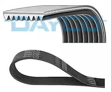 Ιμάντας poly-V NISSAN PRIMERA 2002 - 2007 ( P12 ) DAYCO 8